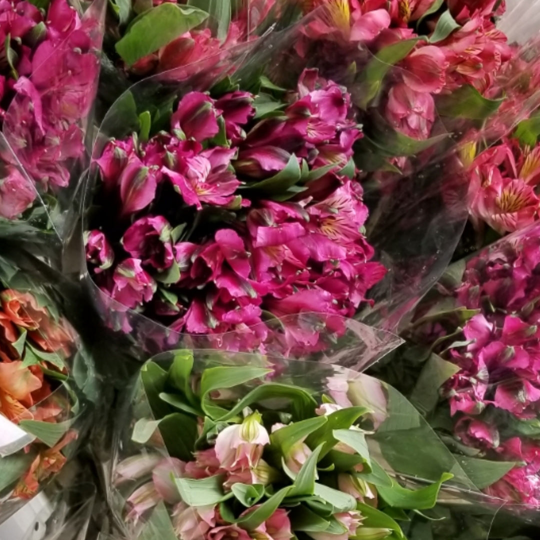 Alstroemeria Bunch (color selections not available)