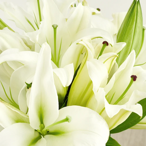 White Lilies (10 Stems)