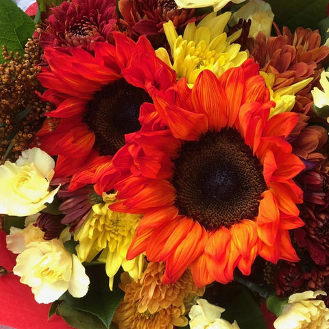 Red Sunflower Mix Bouquet